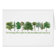 Plant Trees - Tree Lover, Hugger Card
