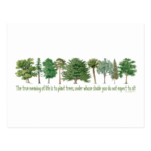 Plant Trees - Tree Lover, Hugger Postcards