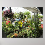 Plant Vendor Byward Market - Ottawa Ontario Canada posters