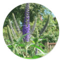 Plant With Purple Flowers stickers