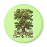 Plant Ye A Tree Green Slogan magnets