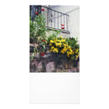 Planter With Yellow Flowering Cactus Photo Card Template
