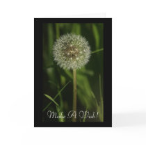 Plants and Water Imagery Greeting Card