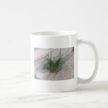 Plants Coffee Mug