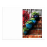 Plants - Four Blue Pots Postcards