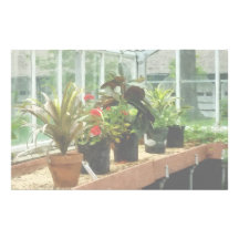 Plants in Greenhouse Stationery Design