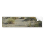 Plants In Sand bumper stickers