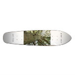 plantyourowntree skateboards