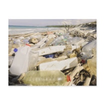 Plastic bottles and ocean dumping on a tropical postcard