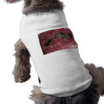 Platypus Dreaming Red by Mundara Koorang Dog Clothes