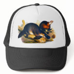 Platypus hats