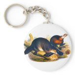 Platypus keychains