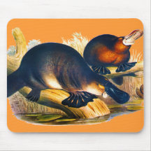 Platypus Mouse Pad