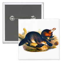 Platypus Pins