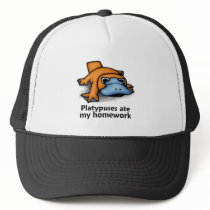 Platypuses ate my Homework