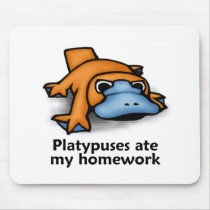 Platypuses ate my Homework