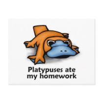 Platypuses ate my Homework