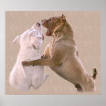 Play Fighting Rescue Puppy Dogs posters