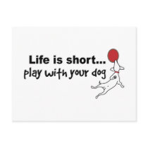 Play with Your Dog