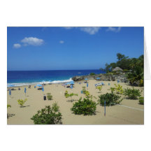 PLAYA ALCIA BEACH SOSUA DOMINICAN REPUBLIC SURF OC CARD