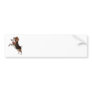 Playful Beagle Bumper Stickers