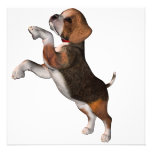 Playful Beagle Invitations