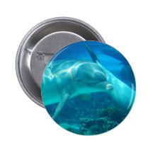 Playful Dolphins Buttons