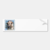 Playful German Shepherd  Bumper Sticker