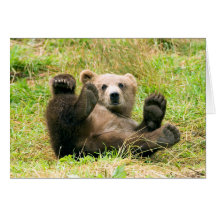 Playful Grizzly Bear Greeting Cards