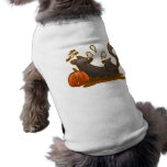 Playful Halloween Kitty Pet Clothing pet clothing