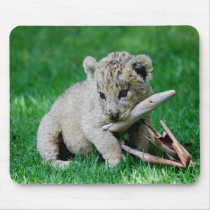 Playful lion mouse pads