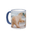 Playful Polar bears Coffee Mugs