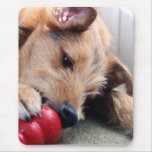 Playful puppy mousepads
