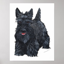 Playful Scottish Terrier Print