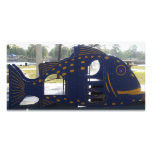 Playground Fish photo cards