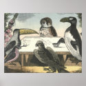 Playing Cards posters