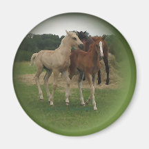 Playing Foals Crosstitched Magnet