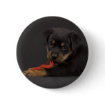 Playing Puppy 5 buttons