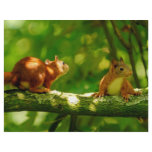 playing young squirrels flyers