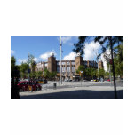 PLAZA DE TOROS MONUMENTAL t-shirts