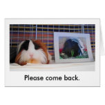 Please come back. cards