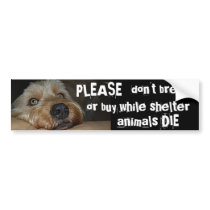Please Dont Breed Or Buy While Shelter Animals Die Bumper Stickers