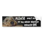 Please Dont Breed Or Buy While Shelter Animals Die bumper stickers