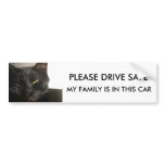 PLEASE DRIVE SAFE , MY FAMILY IS IN THIS CAR bumper stickers