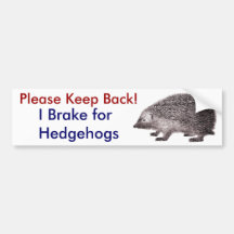 Please Keep Back -- I Brake for Hedgehogs Bumper Stickers
