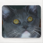 Please mousepads
