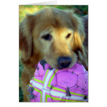 Please Play With Me Greeting Cards