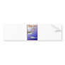 PLEASE SAVE THE RIGHTWHALE BUMPER STICKERS