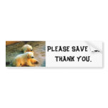 PLEASE SAVE US THANK YOU Polar Bear Bumper Sticker bumper stickers