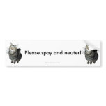 "Please Spay and Neuter" tabby cat bumper sticker bumper stickers